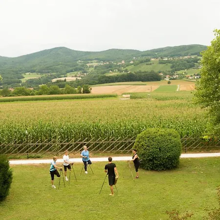 Wilfinger Ring Bio Отель