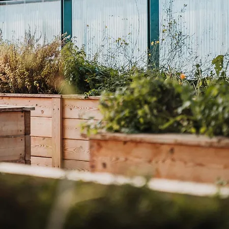 Wilfinger Ring Bio Отель 4*