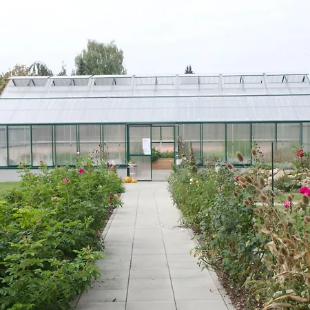 Wilfinger Ring Bio 4*