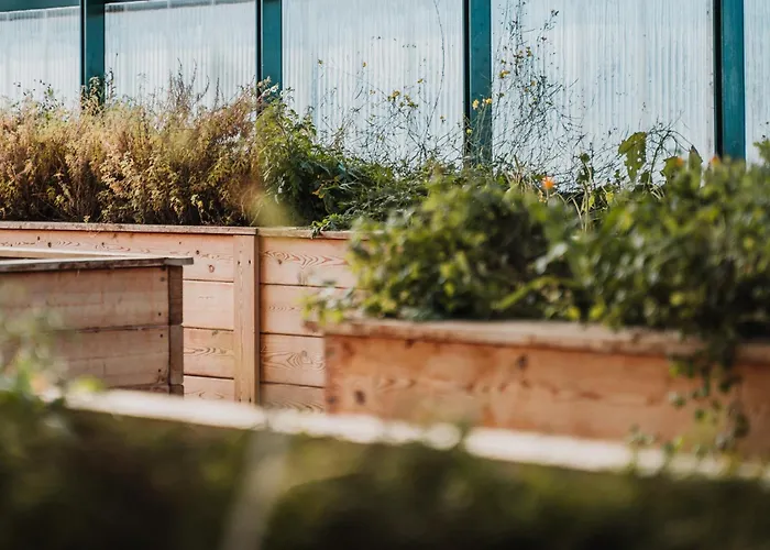 Wilfinger Ring Bio فندق 4*